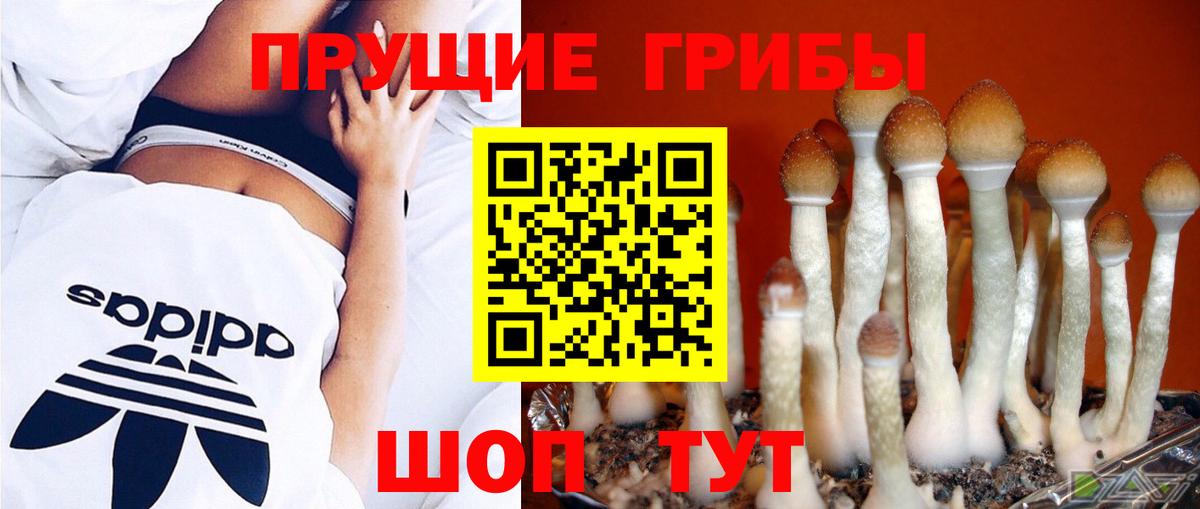 Галлюциногенные грибы Magic Shrooms  Вход с VPN  Псилоцибиновые грибы прущие грибы  Мичуринск 