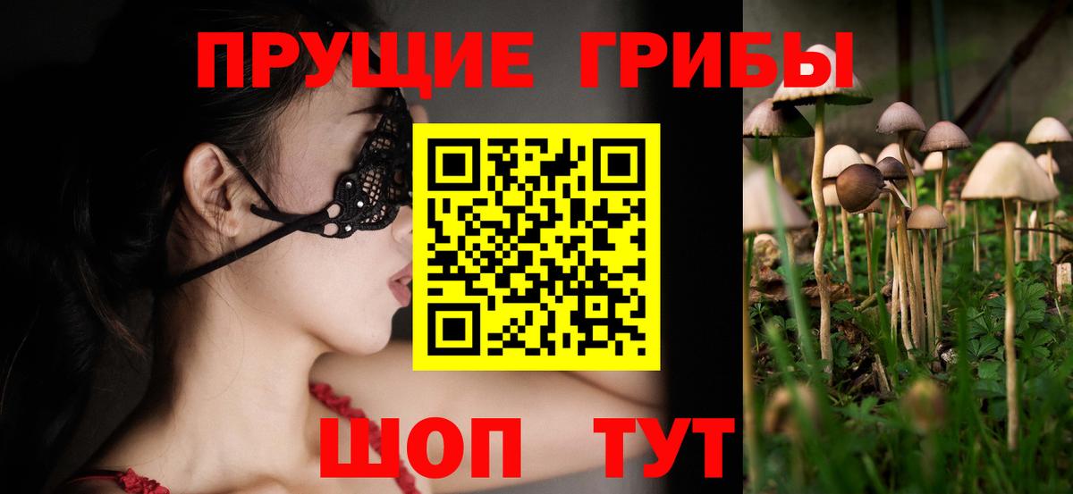 Псилоцибиновые грибы Psilocybine cubensis Мичуринск